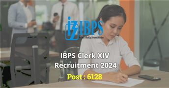 IBPS Clerk XIV Recruitment 2024 – Apply Online for 6128 Vacancies